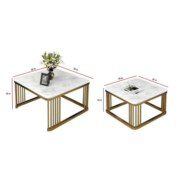 Black & White Coffee Table With  Wooden Top Set of 2