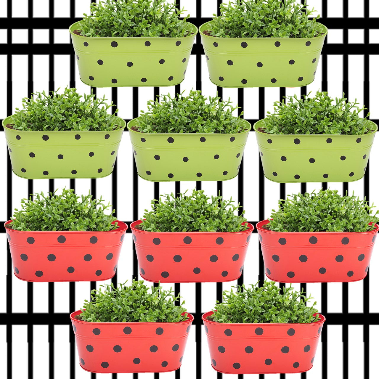 Oval Polka Dot Balcony Railing Planter