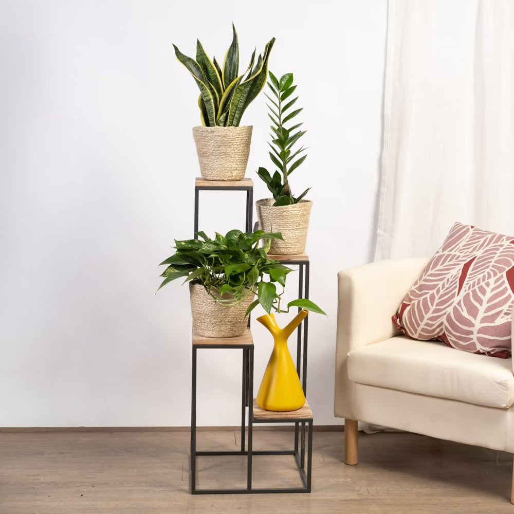 Black Metal Planter Stand with Premium Brown Wooden Shelves- 4 Tier